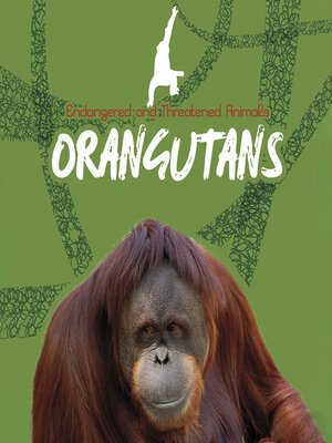 cover image of Orangutans